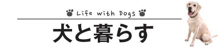 アメリカで犬と暮らす、ペットを飼う