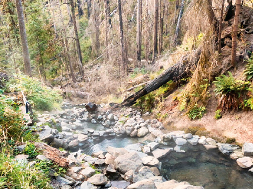 Terwilliger Hot Springs