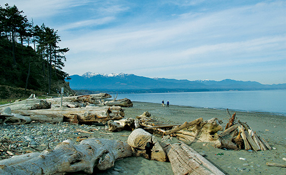 Dungeness Spit