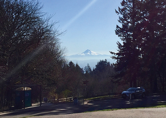 Council Crest Park