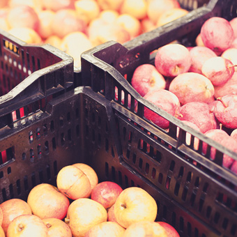 PSU Farmers Market