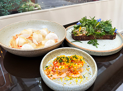 おすすめのメニュー