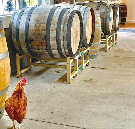 Crowing Hen Brewing